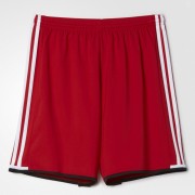 Шорты ADIDAS CONDIVO 16 (красный) фото